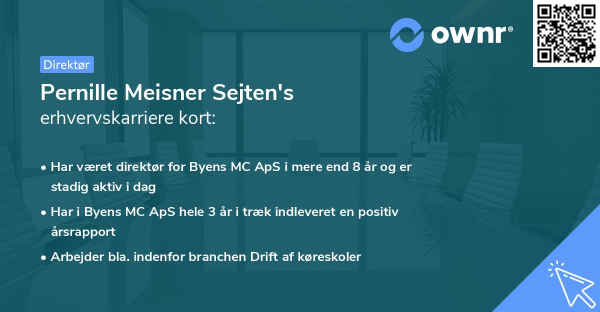 Pernille Meisner Sejten's erhvervskarriere kort