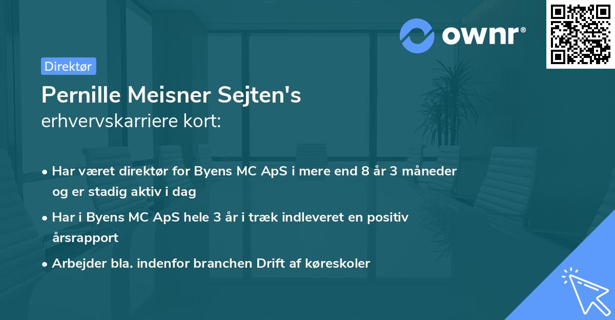 Pernille Meisner Sejten's erhvervskarriere kort