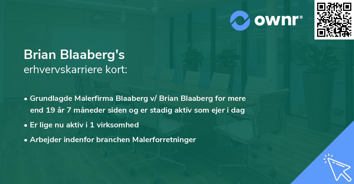 Brian Blaaberg's erhvervskarriere kort