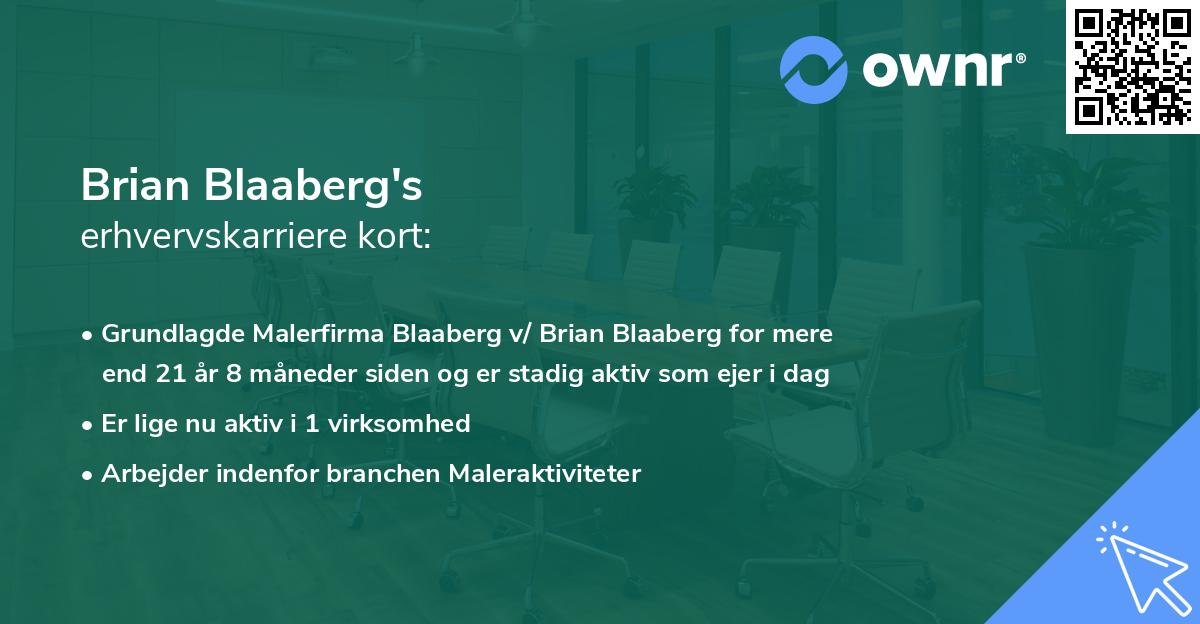 Brian Blaaberg's erhvervskarriere kort