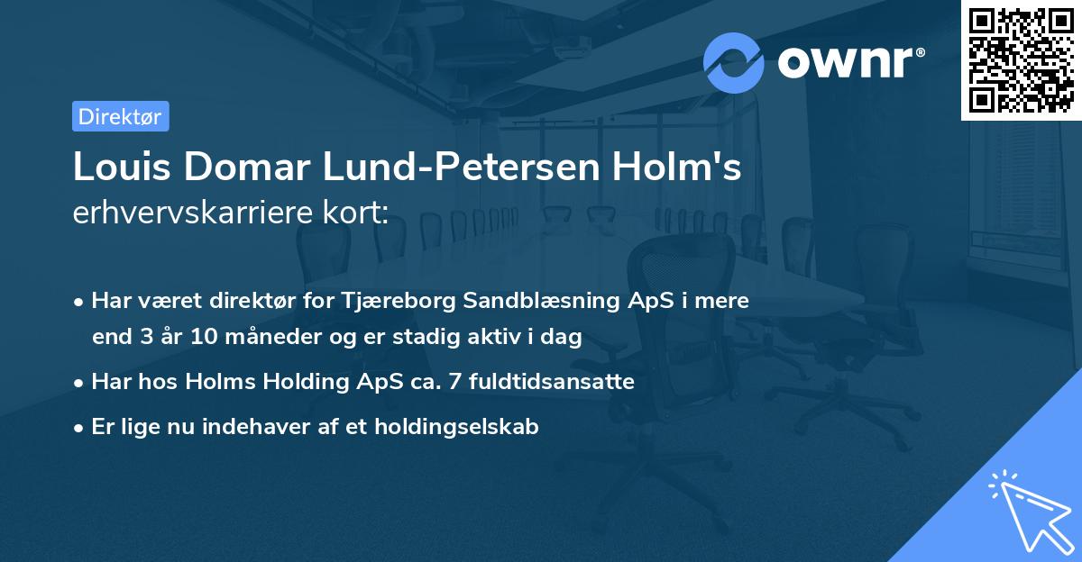 Louis Domar Lund-Petersen Holm's erhvervskarriere kort