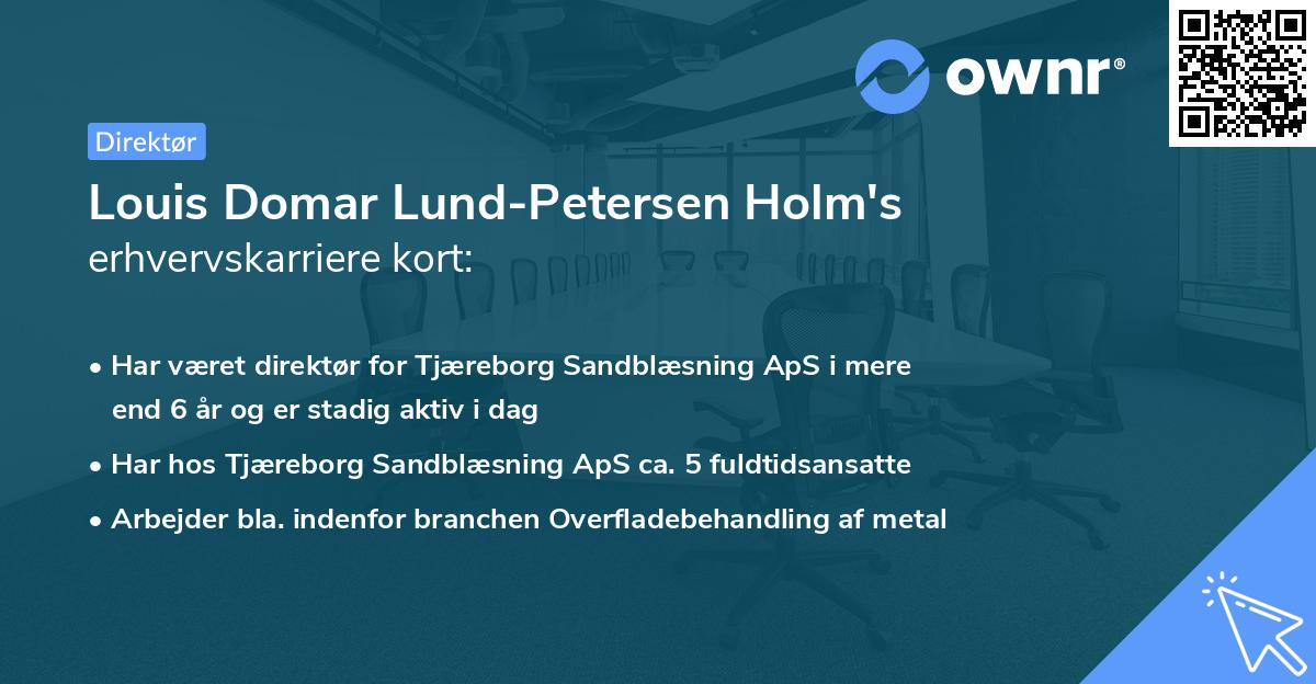 Louis Domar Lund-Petersen Holm's erhvervskarriere kort