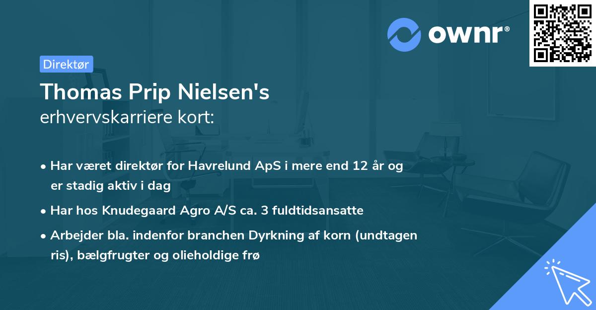 Thomas Prip Nielsen's erhvervskarriere kort