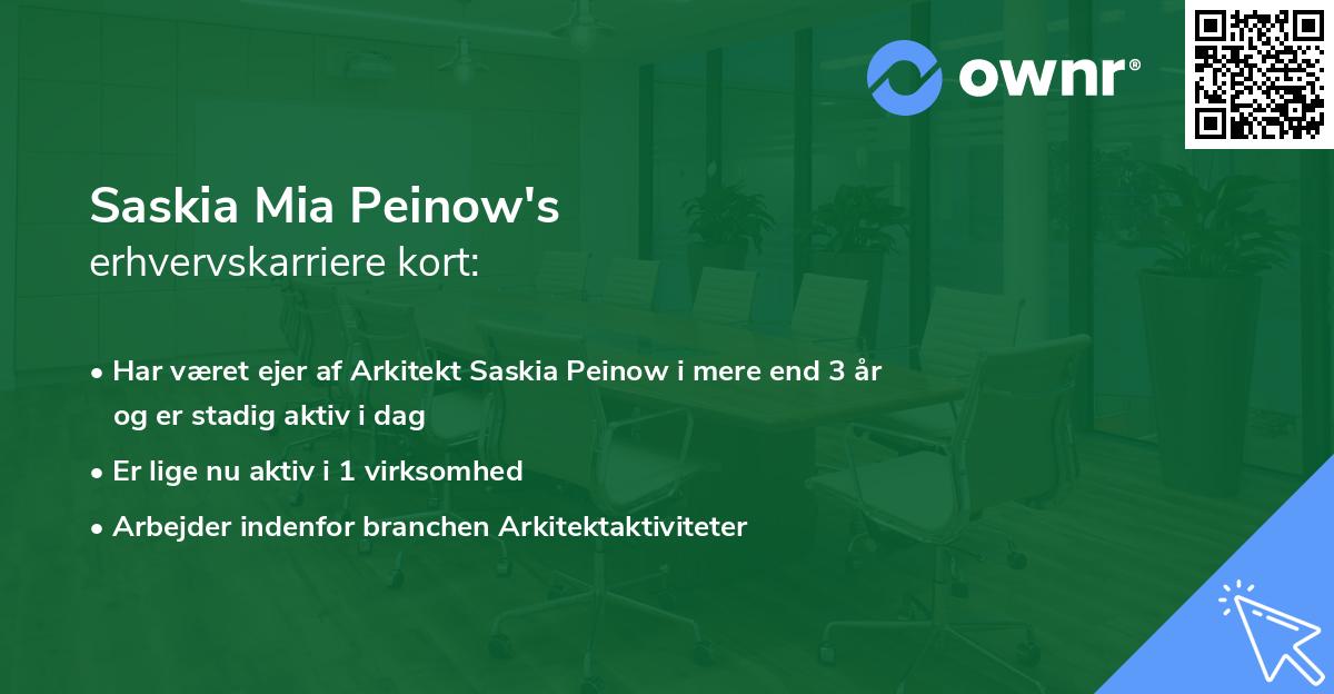 Saskia Mia Peinow's erhvervskarriere kort