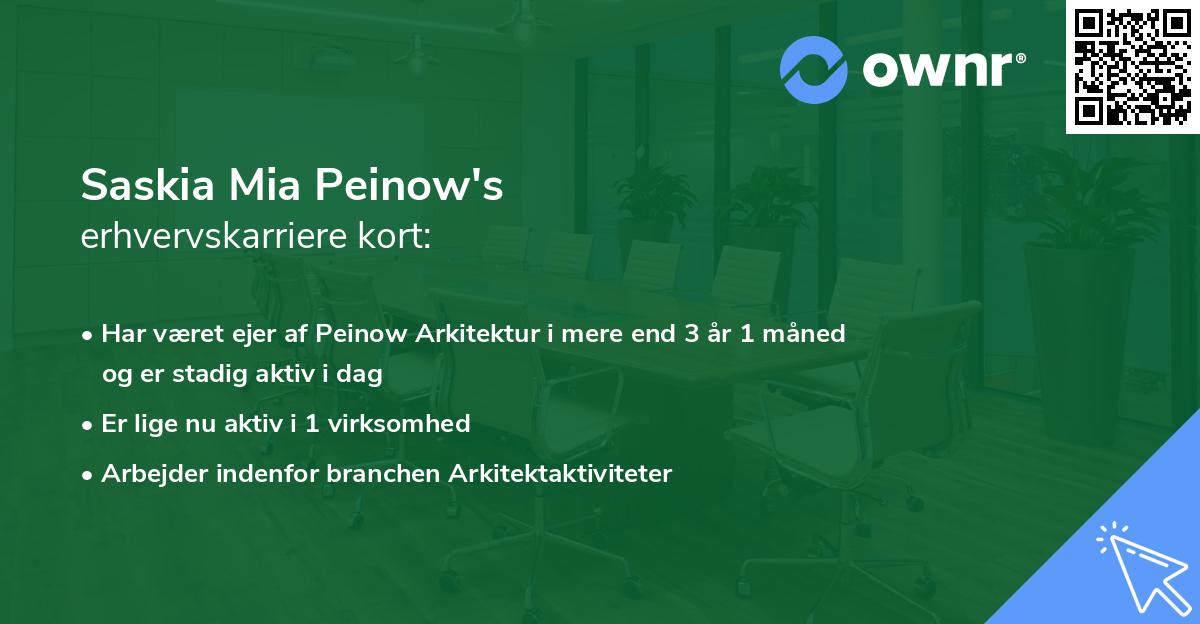 Saskia Mia Peinow's erhvervskarriere kort