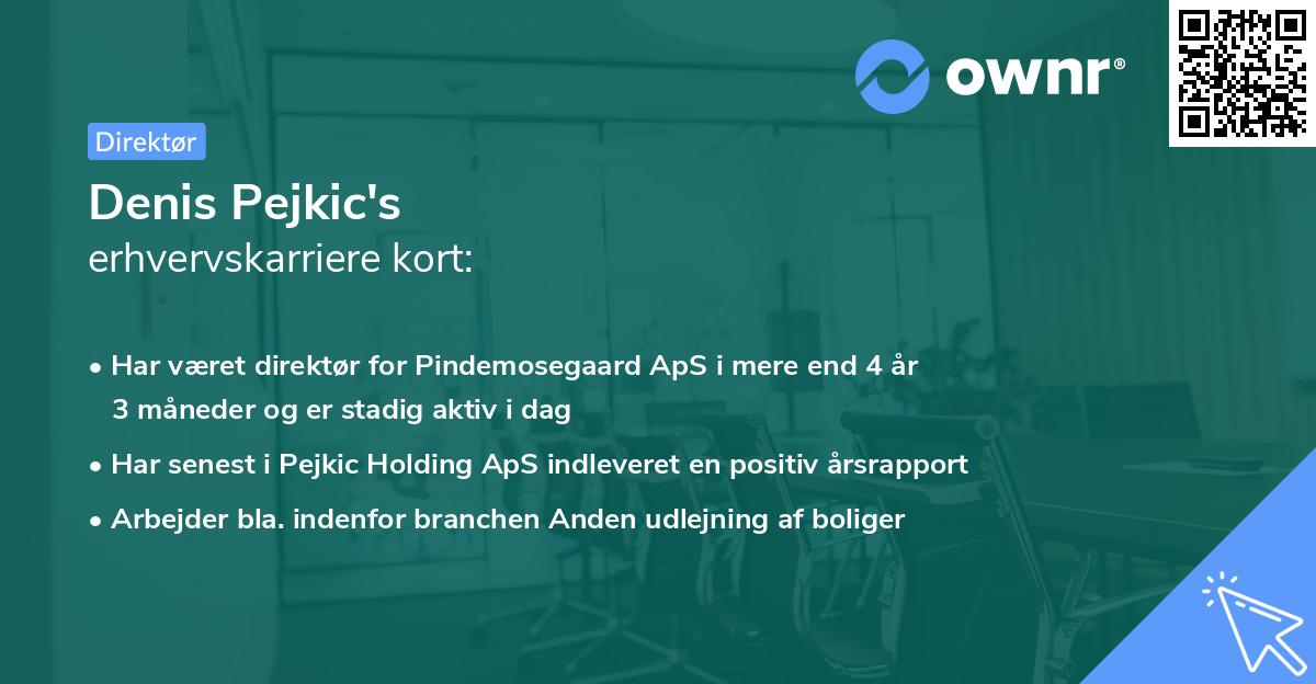 Denis Pejkic's erhvervskarriere kort