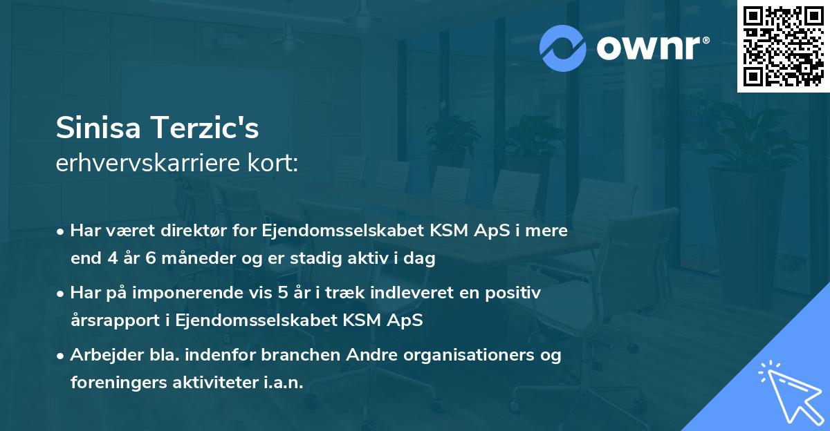 Sinisa Terzic's erhvervskarriere kort