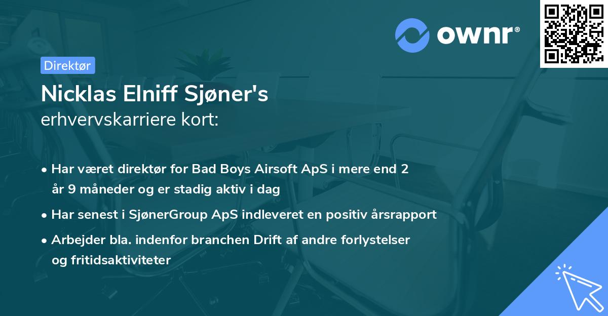 Nicklas Elniff Sjøner's erhvervskarriere kort