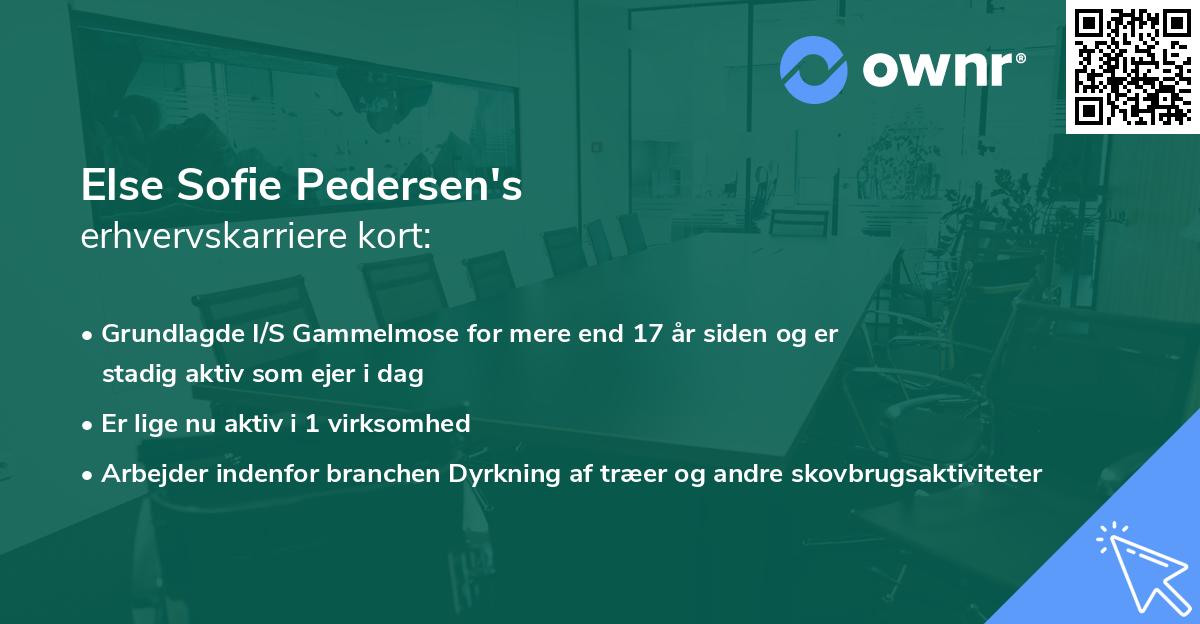 Else Sofie Pedersen's erhvervskarriere kort