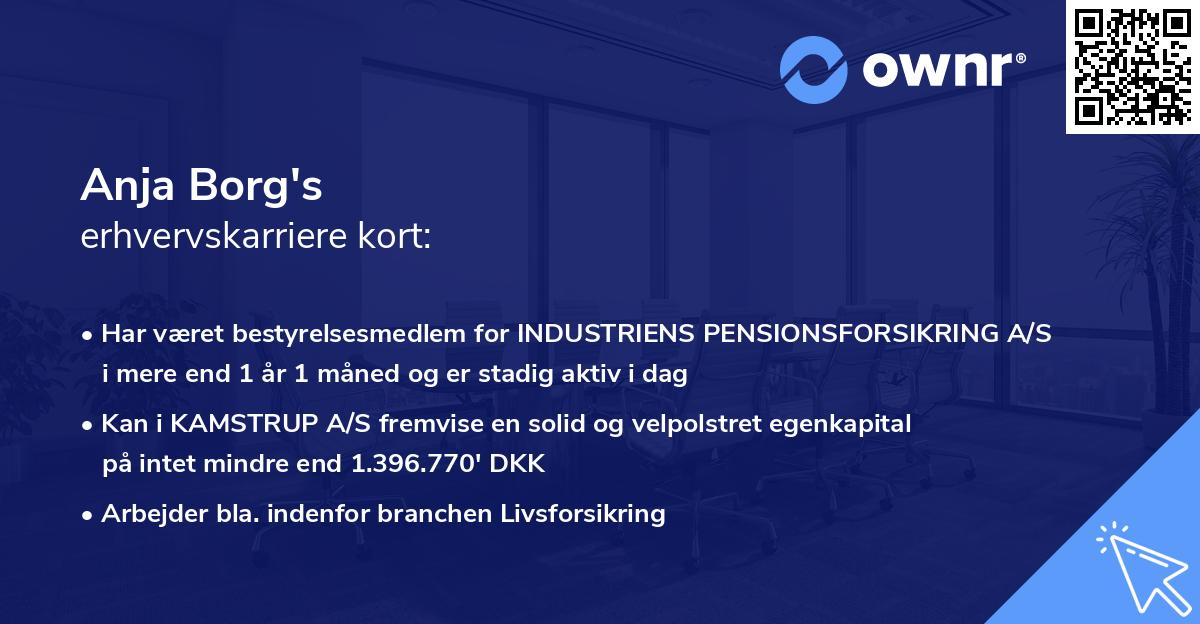 Anja Borg's erhvervskarriere kort