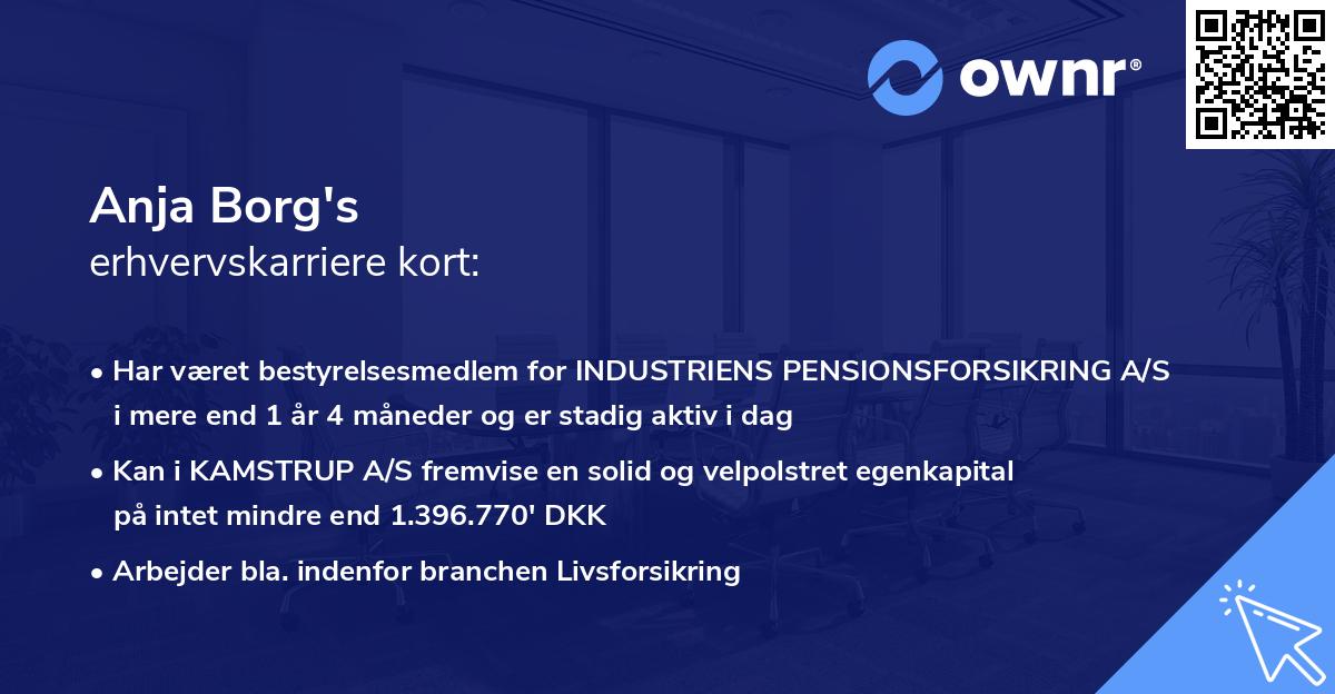 Anja Borg's erhvervskarriere kort