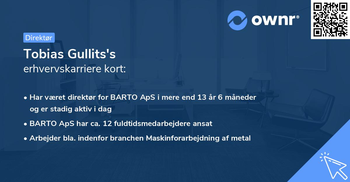 Tobias Gullits's erhvervskarriere kort