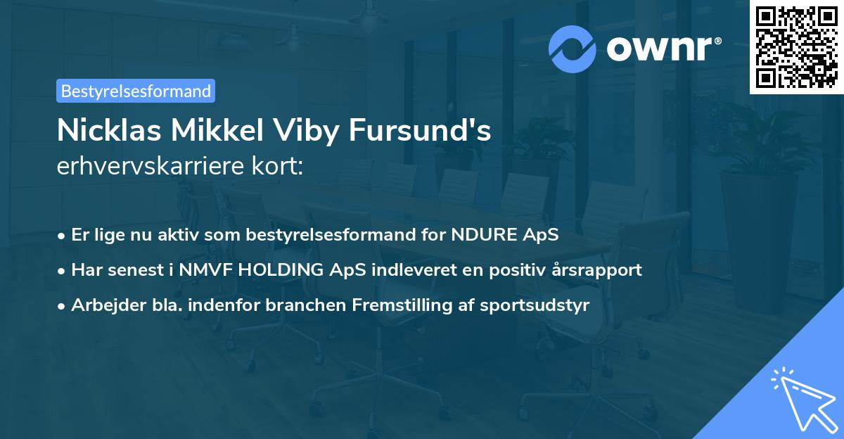 Nicklas Mikkel Viby Fursund's erhvervskarriere kort