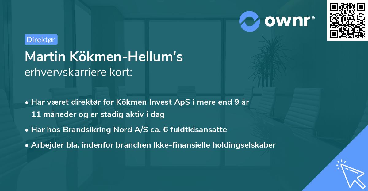 Martin Kökmen-Hellum's erhvervskarriere kort