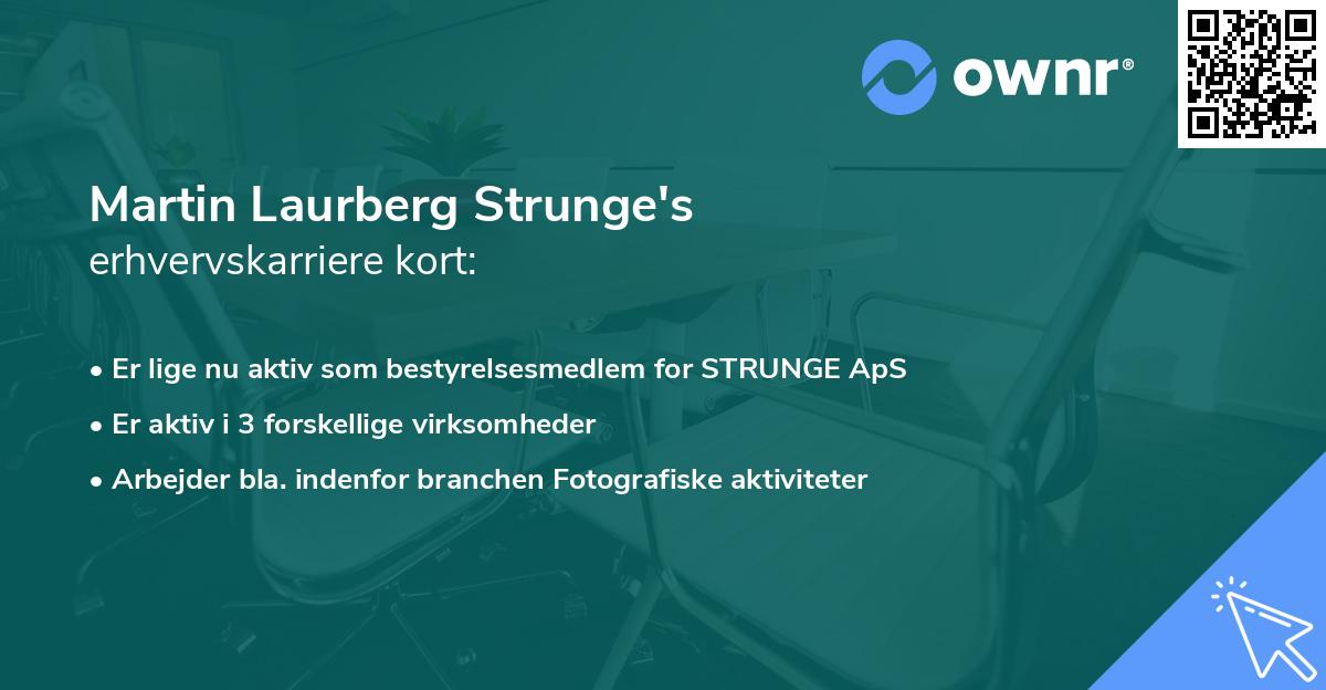 Martin Laurberg Strunge's erhvervskarriere kort