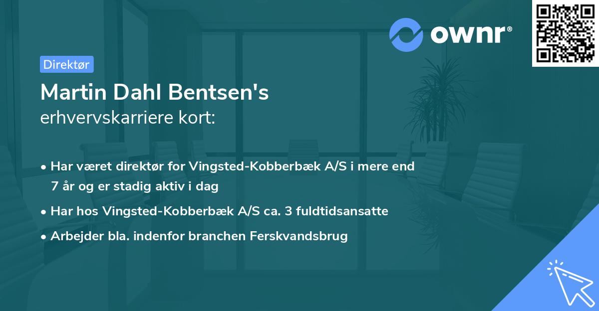 Martin Dahl Bentsen's erhvervskarriere kort