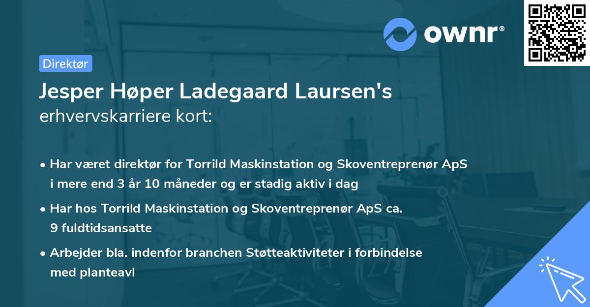 Jesper Høper Ladegaard Laursen's erhvervskarriere kort