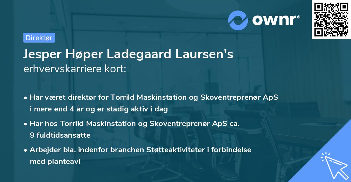 Jesper Høper Ladegaard Laursen's erhvervskarriere kort
