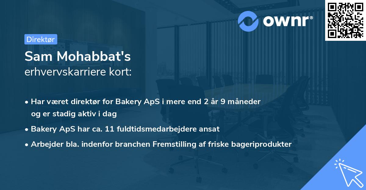 Sam Mohabbat's erhvervskarriere kort