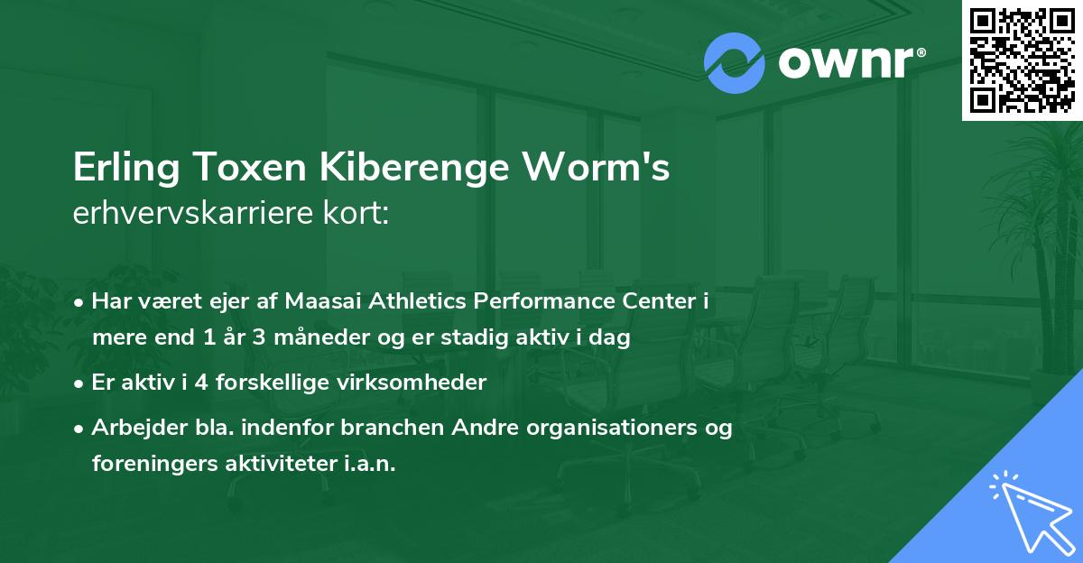 Erling Toxen Kiberenge Worm's erhvervskarriere kort