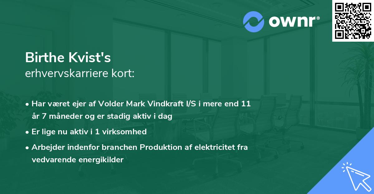 Birthe Kvist's erhvervskarriere kort