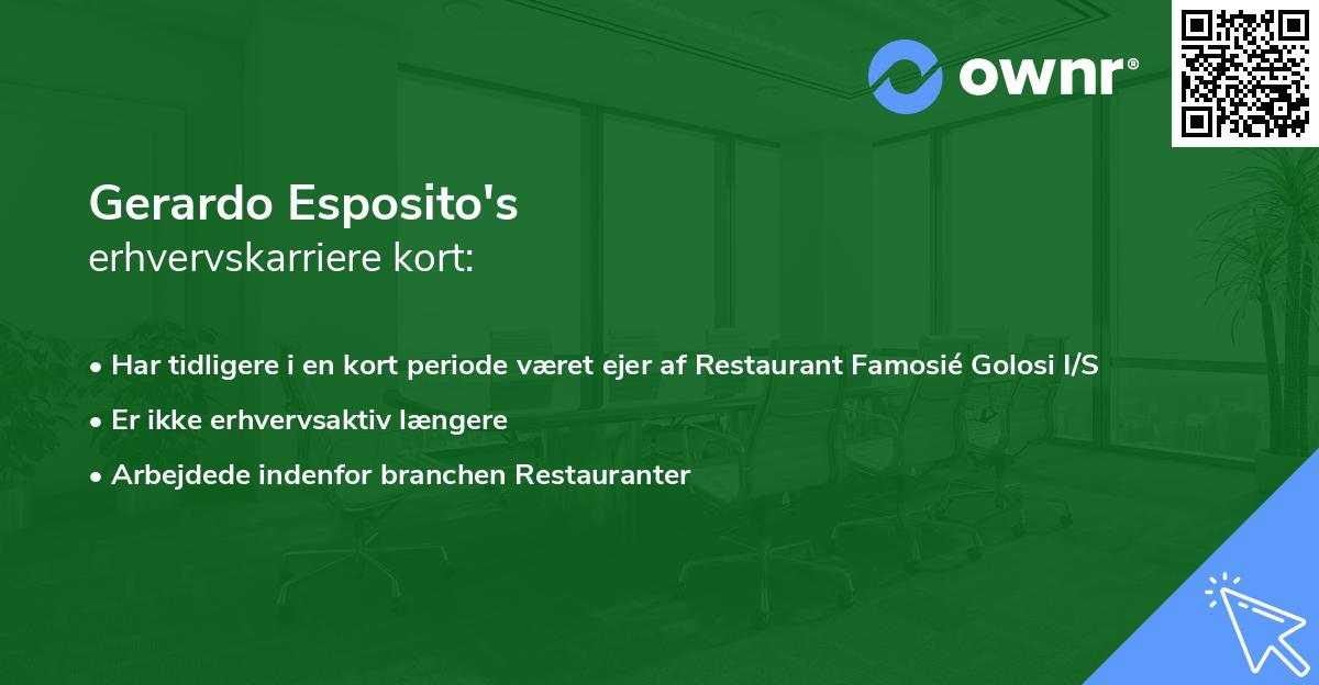Gerardo Esposito's erhvervskarriere kort