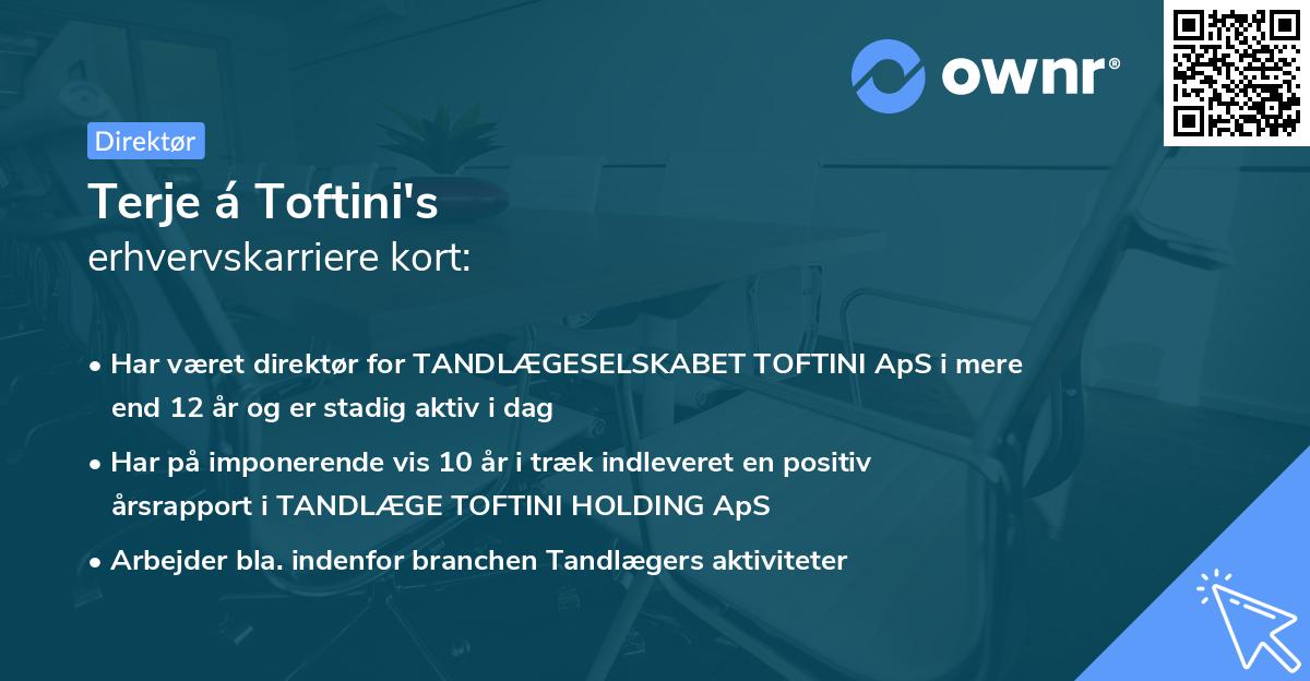 Terje á Toftini's erhvervskarriere kort