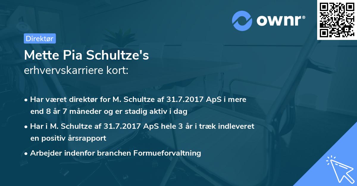 Mette Pia Schultze's erhvervskarriere kort