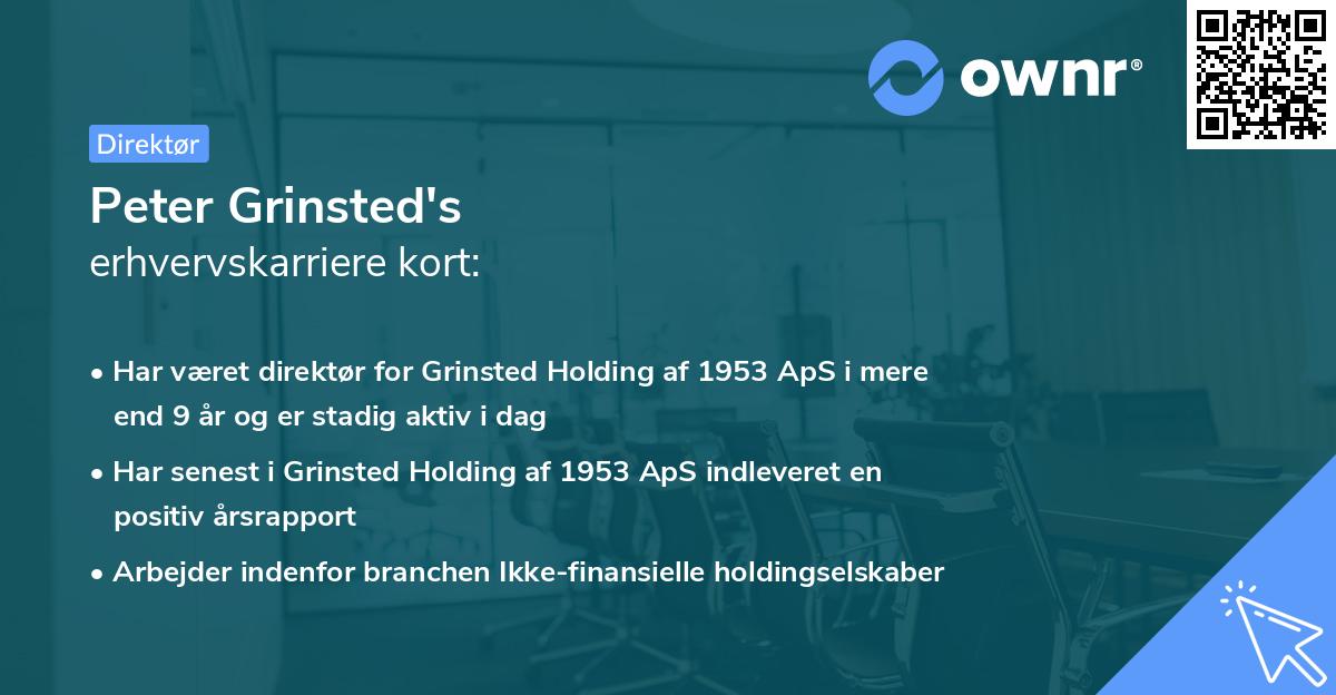 Peter Grinsted's erhvervskarriere kort