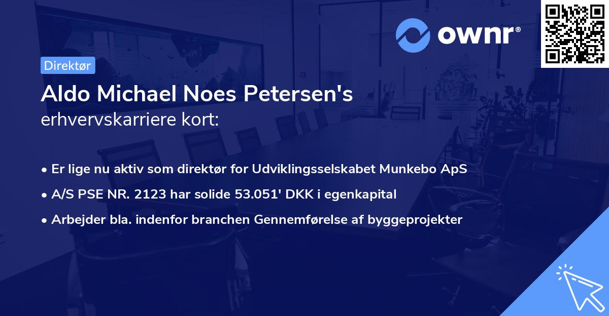Aldo Michael Noes Petersen's erhvervskarriere kort