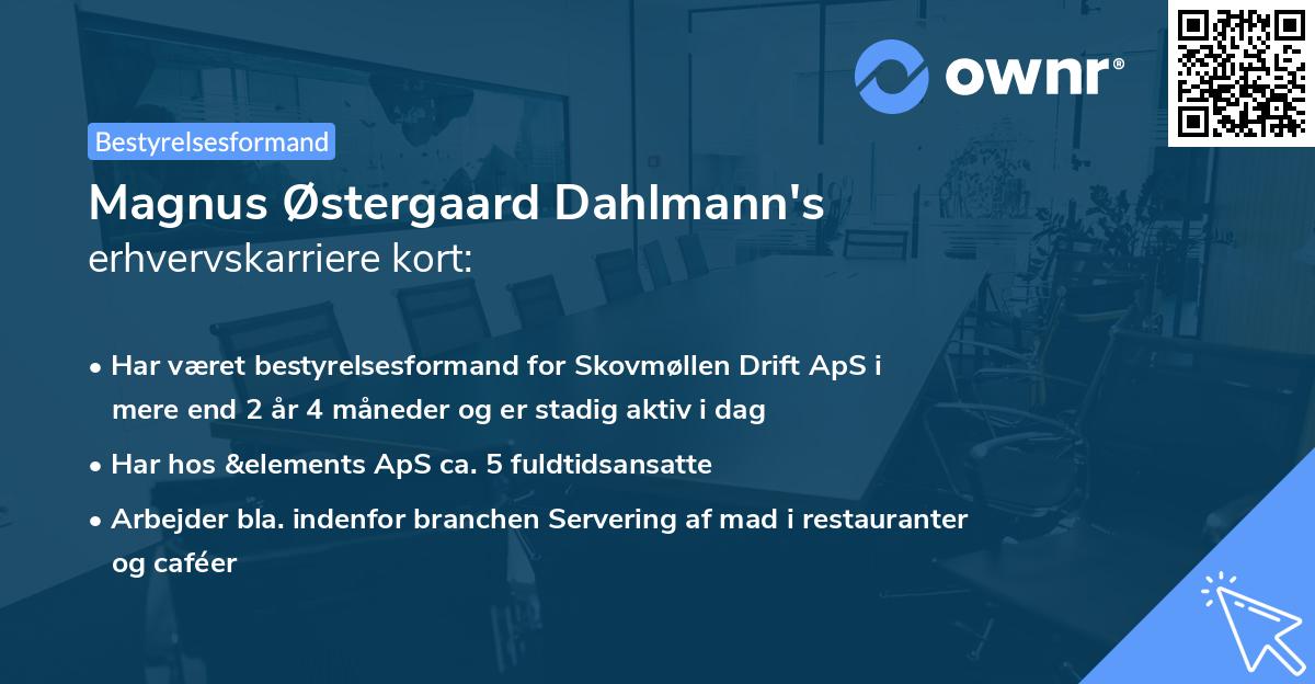 Magnus Østergaard Dahlmann's erhvervskarriere kort