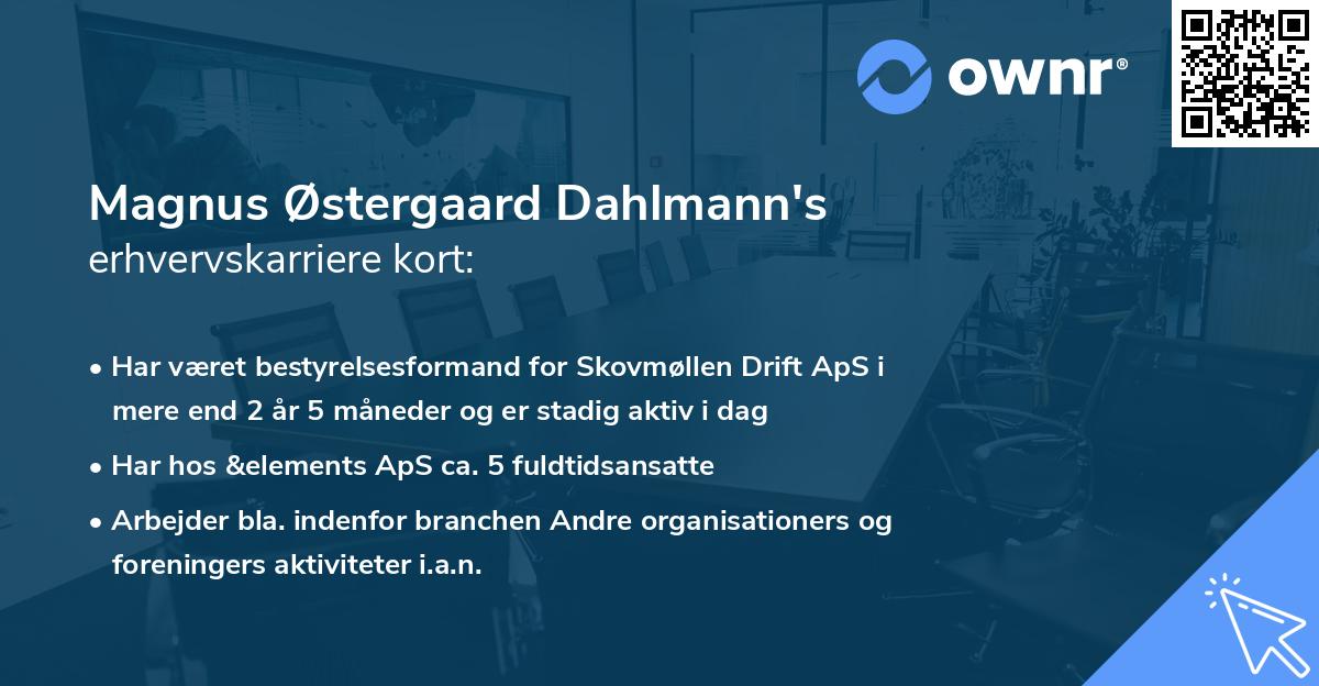 Magnus Østergaard Dahlmann's erhvervskarriere kort