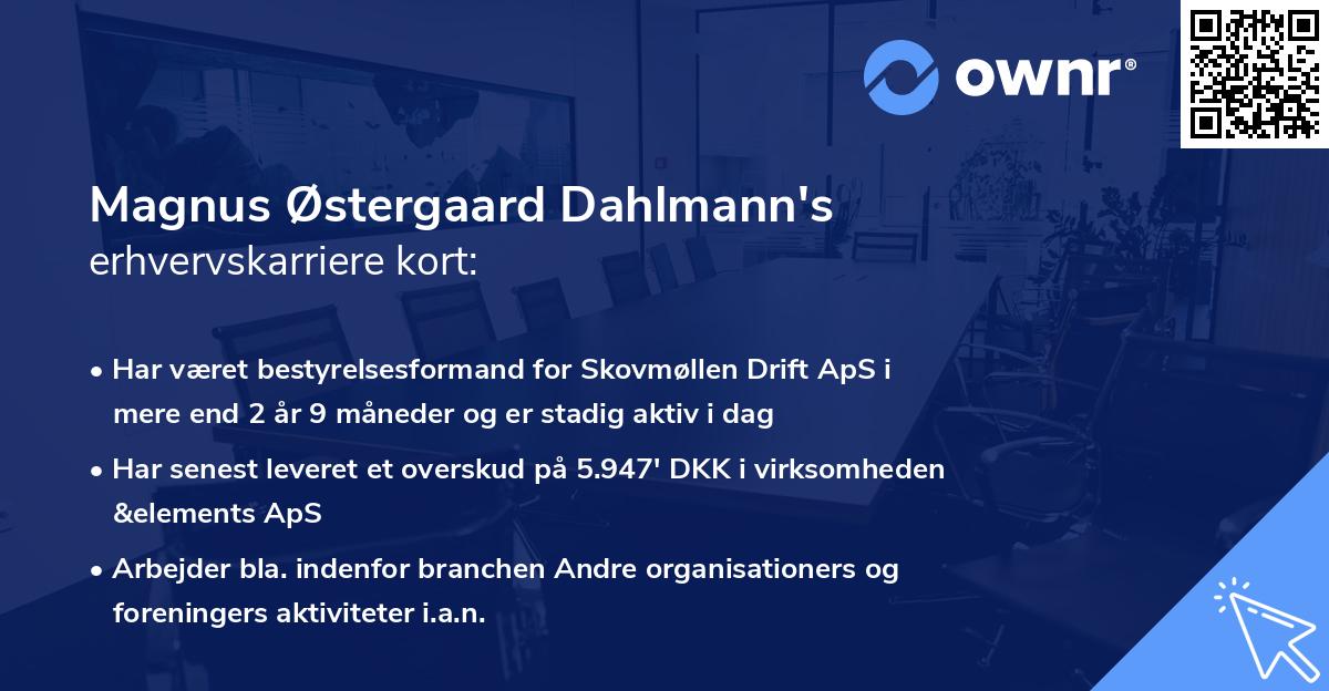 Magnus Østergaard Dahlmann's erhvervskarriere kort