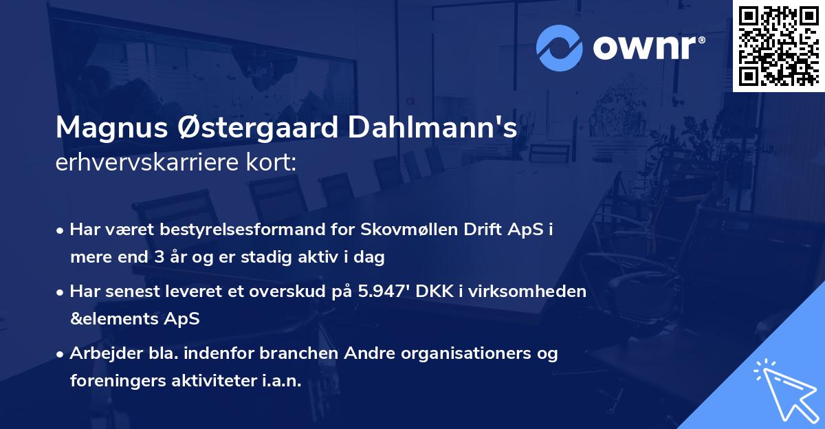 Magnus Østergaard Dahlmann's erhvervskarriere kort