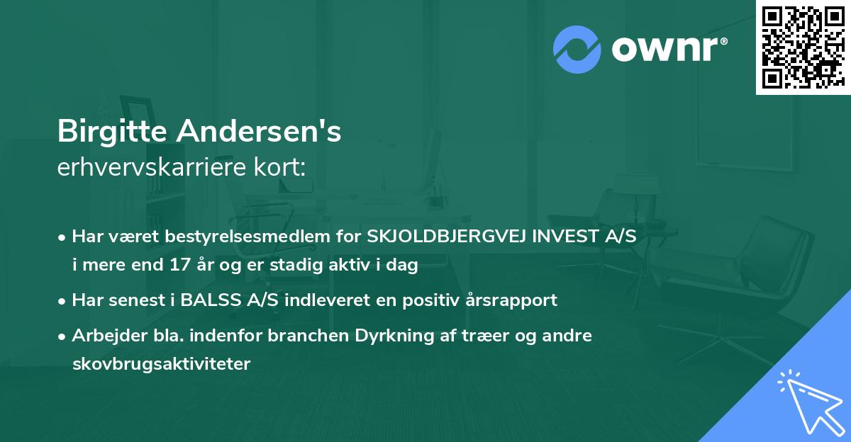 Birgitte Andersen's erhvervskarriere kort