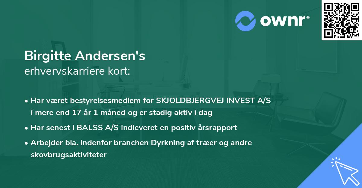 Birgitte Andersen's erhvervskarriere kort