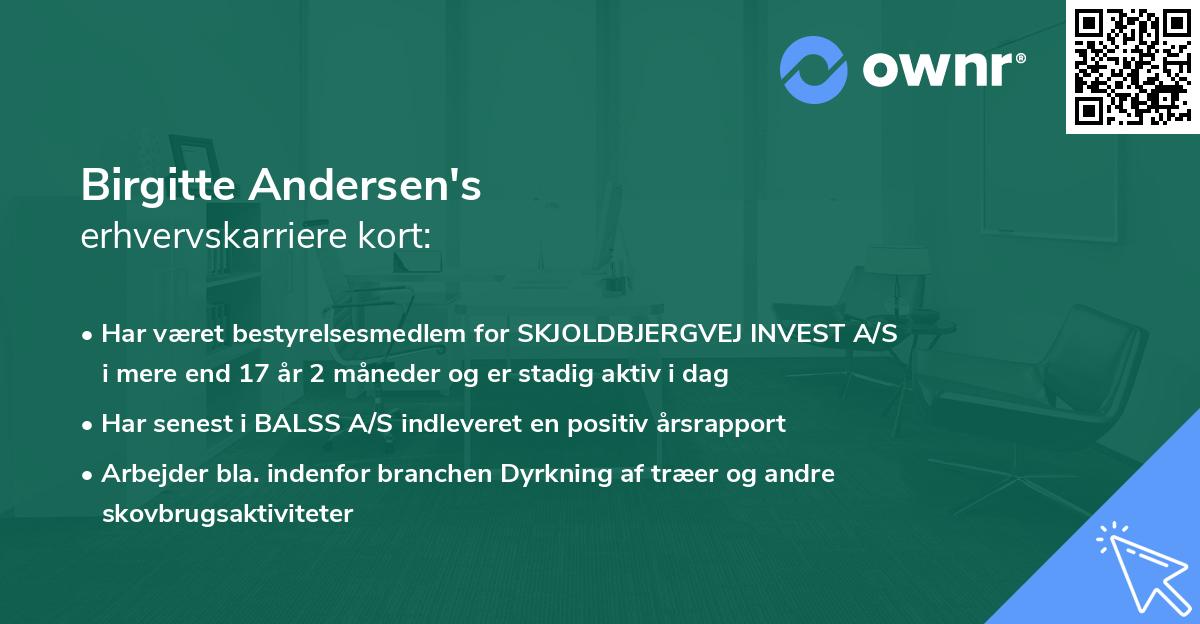 Birgitte Andersen's erhvervskarriere kort