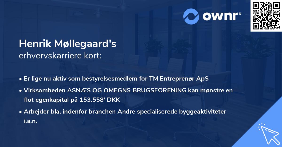 Henrik Møllegaard's erhvervskarriere kort