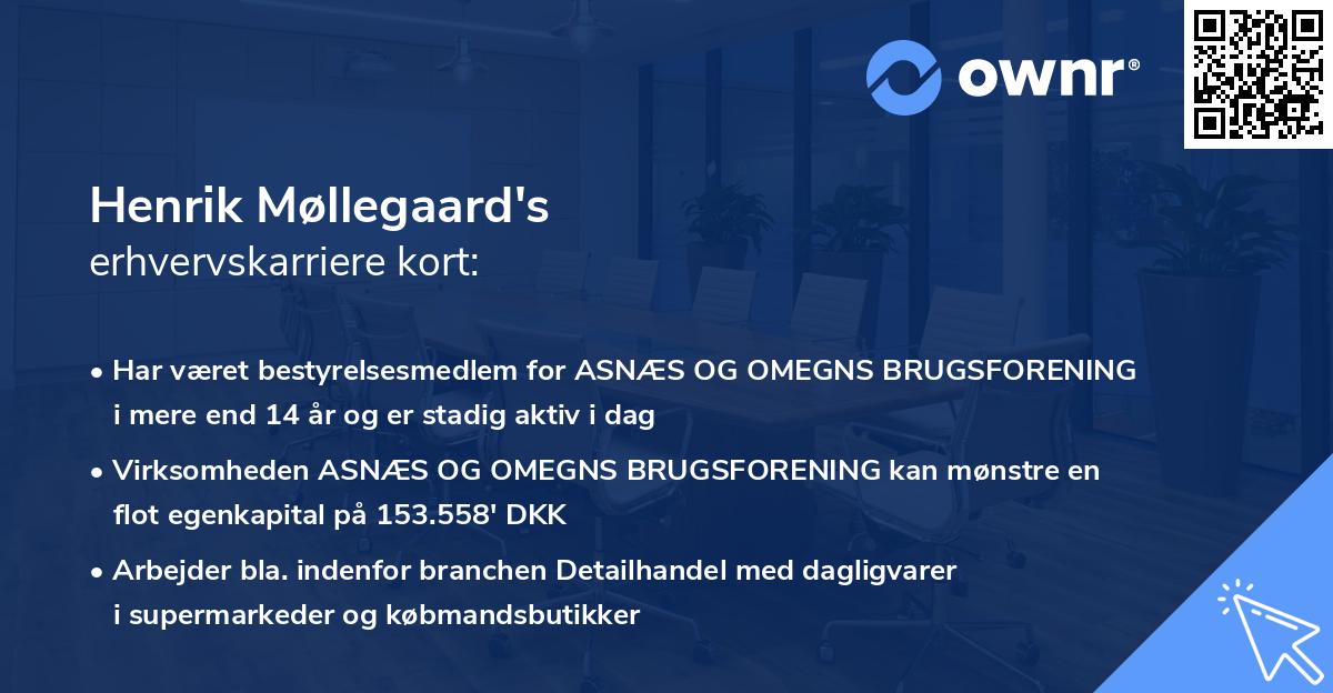 Henrik Møllegaard's erhvervskarriere kort