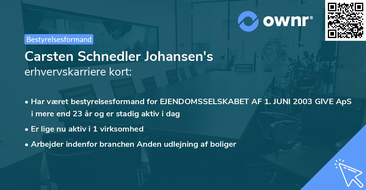 Carsten Schnedler Johansen's erhvervskarriere kort