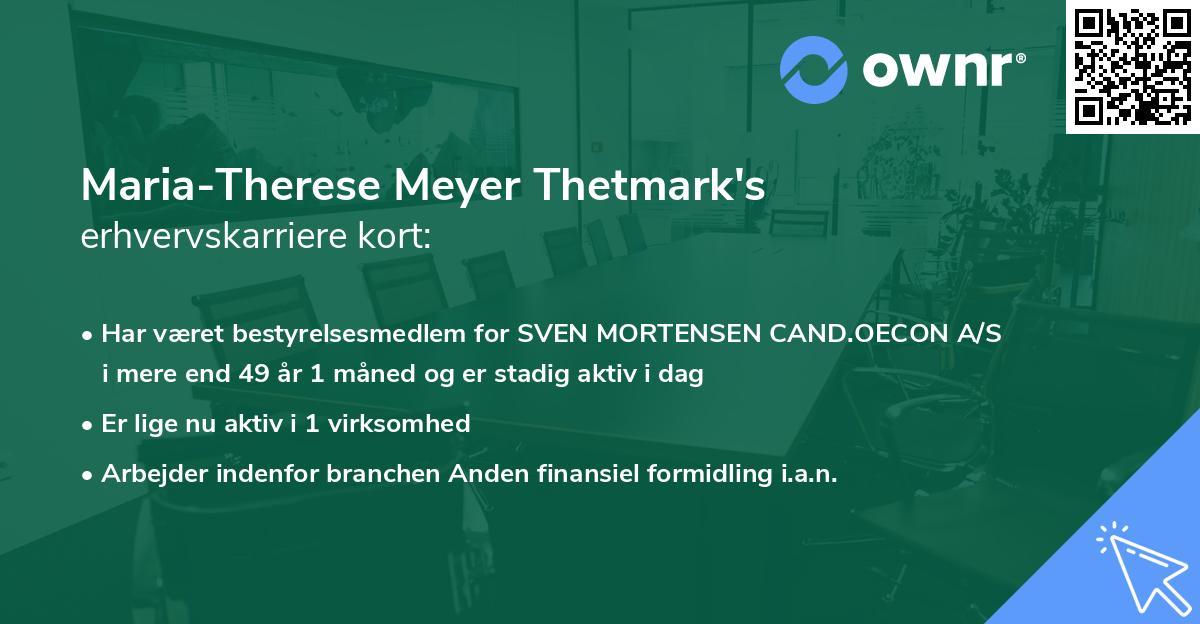 Maria-Therese Meyer Thetmark's erhvervskarriere kort