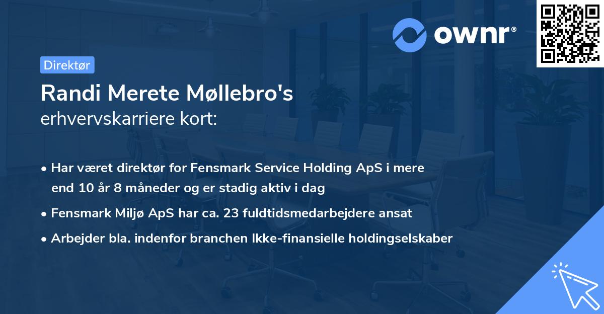 Randi Merete Møllebro's erhvervskarriere kort