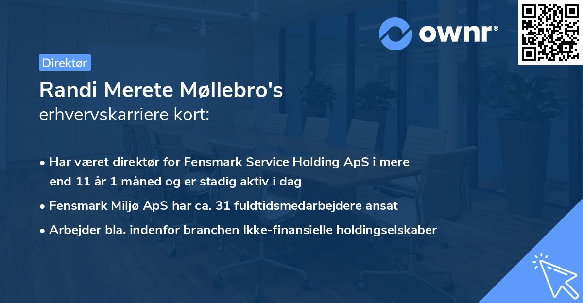 Randi Merete Møllebro's erhvervskarriere kort