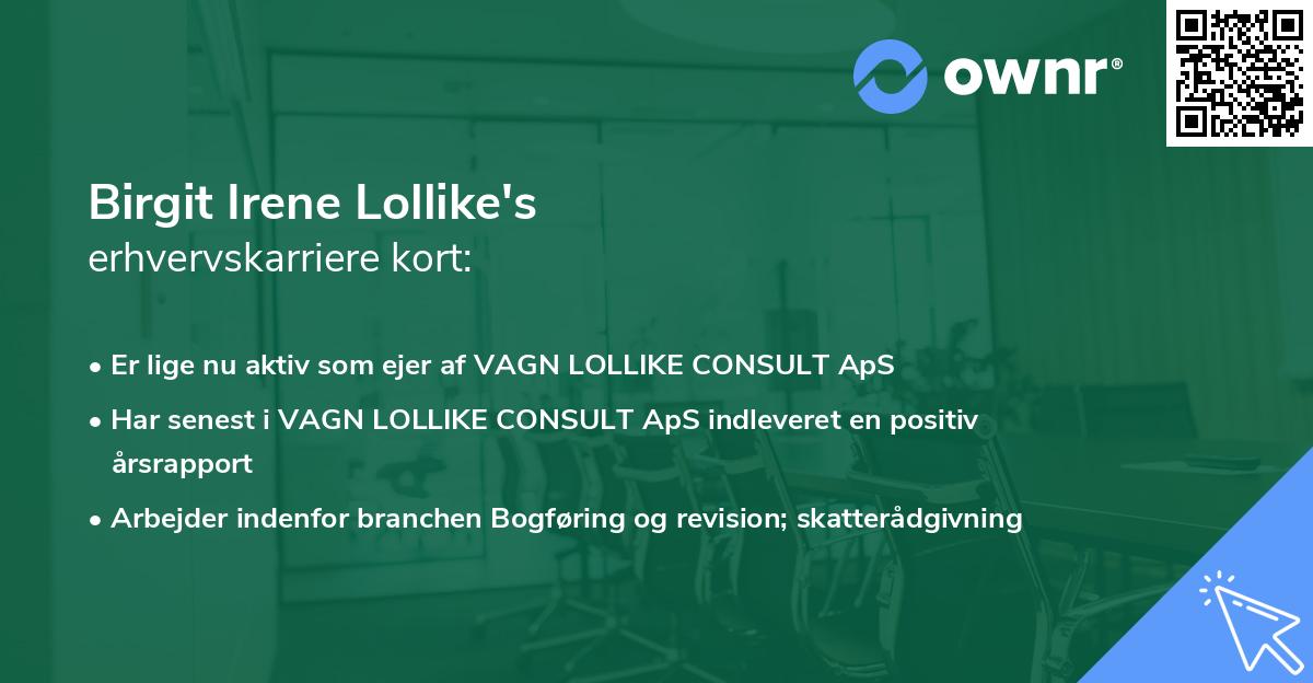 Birgit Irene Lollike's erhvervskarriere kort