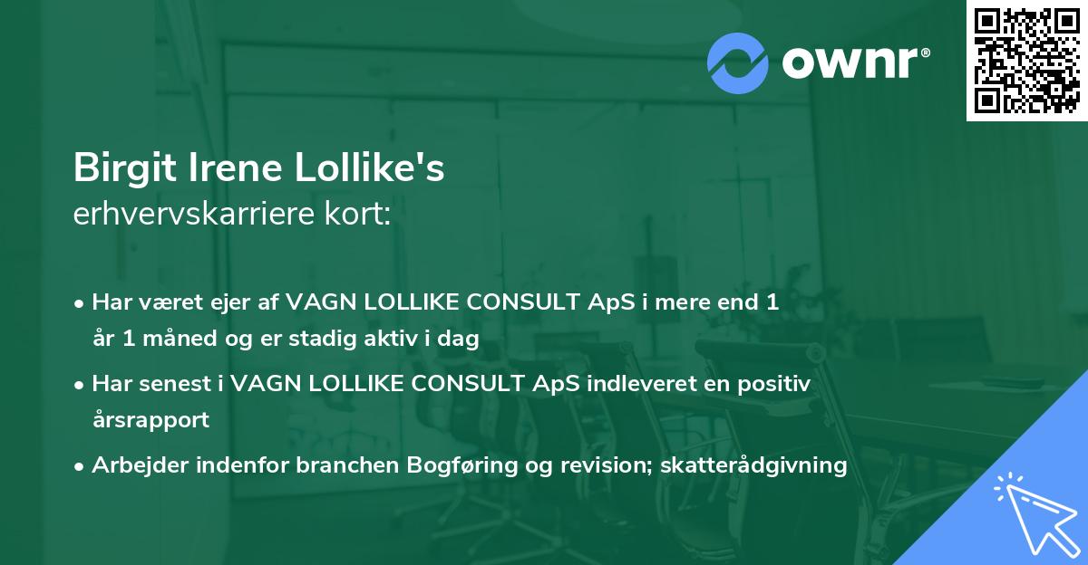 Birgit Irene Lollike's erhvervskarriere kort