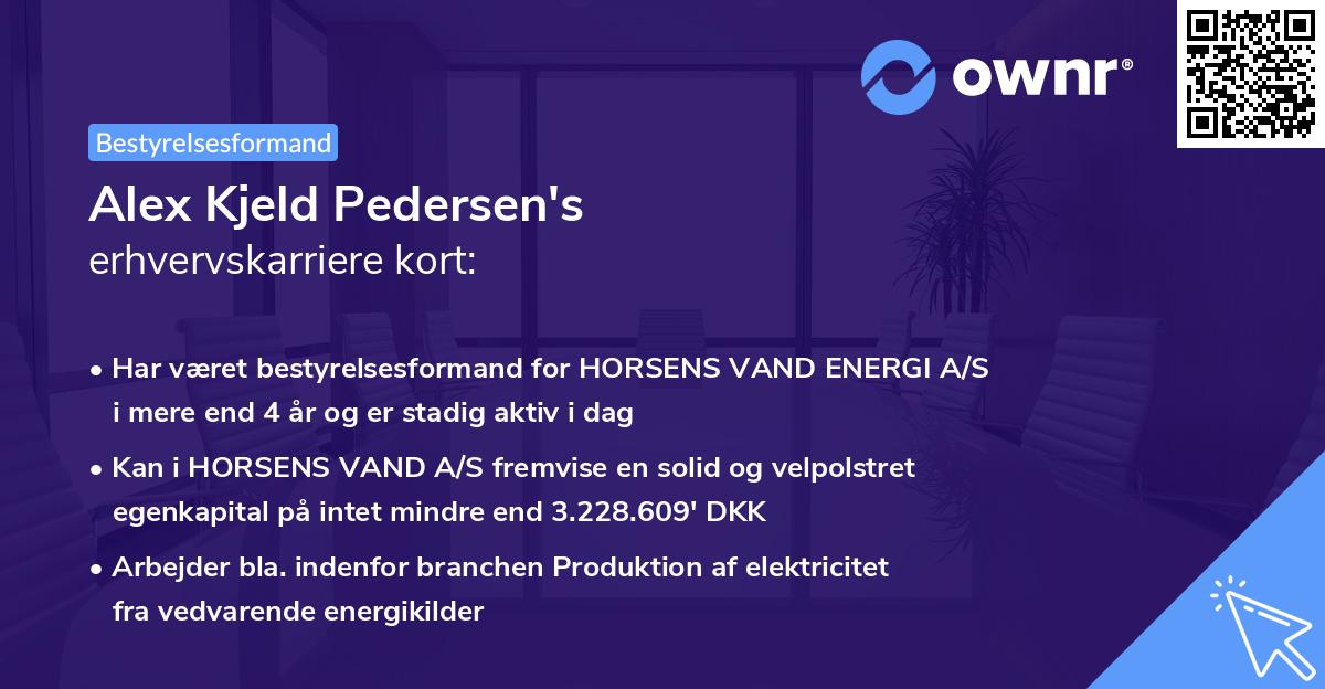 Alex Kjeld Pedersen's erhvervskarriere kort
