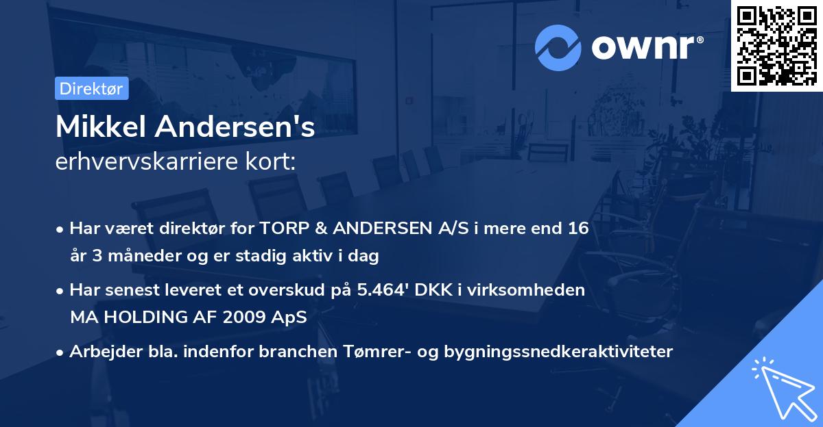 Mikkel Andersen's erhvervskarriere kort