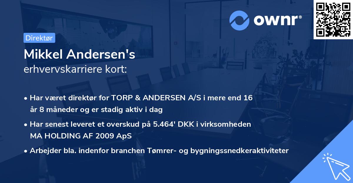 Mikkel Andersen's erhvervskarriere kort