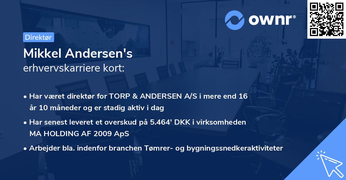 Mikkel Andersen's erhvervskarriere kort