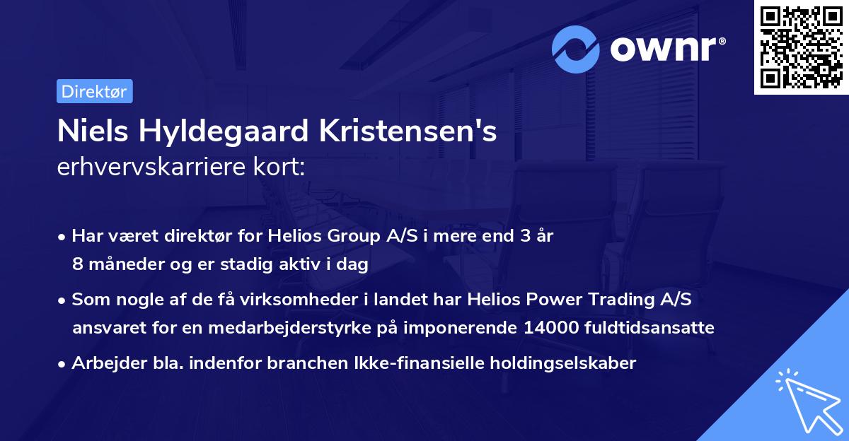 Niels Hyldegaard Kristensen's erhvervskarriere kort